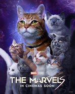 The Marvels (film) poster 020