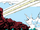 Falkland Islands