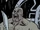 Ivar (Earth-11127)