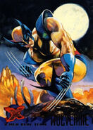 James Howlett (Earth-616) from Ultra X-Men (Trading Cards) 1995 Set 002