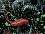 Venom Vol 4 9