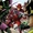 Exiles Vol 3 6