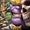 Guardians of the Galaxy: Telltale Games Vol 1 3