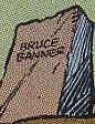 Bruce Banner (Earth-9112)