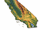 California (Stato)/Galleria