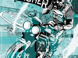 Punisher Vol 10 2