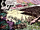 Balboa's Ranch from Punisher Vol 2 43).png