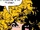 Danette (Earth-84243)
