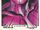 Helmut Zemo (Earth-616) from Mike Zeck (Trading Cards) 0001.jpg