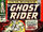 Ghost Rider Vol 1 6