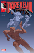 Daredevil: Ninja Vol 1 (2000–2001) 3 issues