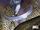 Moon Knight Vol 9 8
