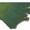 North Carolina (State)
