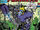 Transformers (UK) Vol 1 167