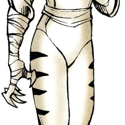 White Tiger (Evolved Tiger) (Earth-616) from Marvel Legacy The 1990s Handbook Vol 1 1 0001.jpg