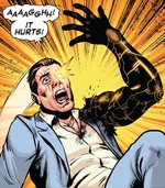 Nathaniel Summers Phoenix assembled Weapon X-Men (Earth-80777)