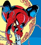 Peter Parker (Earth-616) from Amazing Spider-Man Vol 1 303 001.jpg (115 KB)
