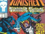 Punisher Summer Special Vol 1 1