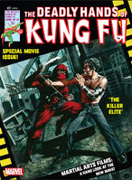 Deadly Hands of Kung Fu Vol 1 23