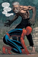 From Amazing Spider-Man (Vol. 2) #507