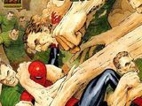Amazing Spider-Man Vol 1 616