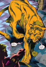 Cat demon Prime Marvel Universe (Earth-616)