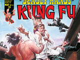 Deadly Hands of Kung Fu Vol 1 12