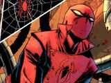 Peter Parker (Earth-312500)