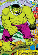 Bruce Banner (Earth-616) from Incredible Hulk Vol 1 165 0001.jpg (131 KB) From Incredible Hulk #165