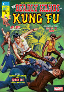 Deadly Hands of Kung Fu Vol 1 6