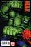 Hulk Vol 2 6 Variant