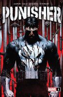 Punisher Vol 13 1