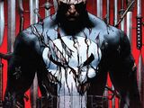 Punisher Vol 13