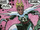 Susan Storm (Earth-616) from X-Men Annual Vol 1 14 0001.png