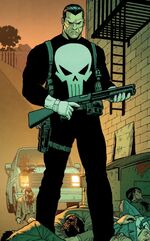 Frank Castle MAX-Universe (Earth-200111)