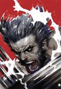 Wolverine Soultaker Vol 1 1 Textless