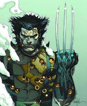 James Howlett (Earth-616) from Fallen Son The Death of Captain America Vol 1 1 cover