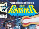 Punisher Vol 1 1