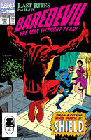 Daredevil #298 "Last Rites, Part 2 of 4: Turnabout" Release date: September 3, 1991 Cover date: November, 1991