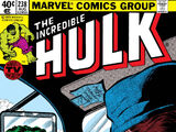 Incredible Hulk Vol 1 238