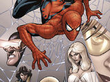 Marvel Knights: Spider-Man Vol 1 6