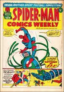 Spider-Man Comics Weekly #19 (June, 1973)