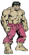 Bruce Banner (Earth-616) from Official Handbook of the Marvel Universe Vol 1 5 0001