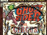 Ghost Rider Vol 2 73