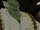 Hulk and the Agents of S.M.A.S.H. Season 1 17