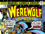 Werewolf by Night Vol 1 36