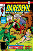 Daredevil Vol 1 142