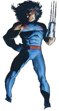 Wolverine aoa 02.jpg