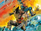 Deadpool and Wolverine Vol 1 2
