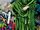 Gaea (Earth-616) and Defenders (Earth-616) from Defenders Vol 2 12 0003.jpg
